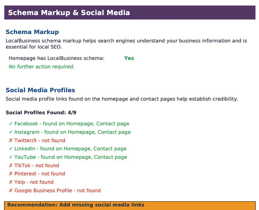 Schema check from the website auditing tool
